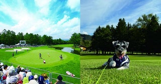 ツアーコースで本気プレー!? 愛犬と楽しむ!? 軽井沢ゴルフならどっちも叶う