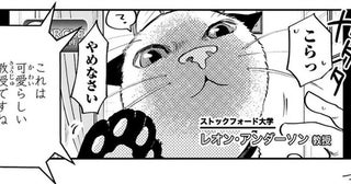 自宅からニュース番組に出演。愛猫が乱入してやりたい放題!?／グッドモーニングレオン（17）