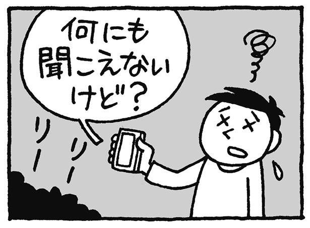 秋の風物詩「スズムシ」の鳴き声。実は電話を通しては聞くことができない！／雑学うんちく図鑑（2）