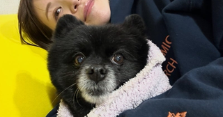  はんにゃ.川島の元妻 離れ離れの愛犬との定期面会に感謝 
