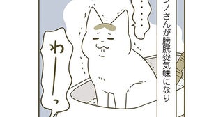 寒暖差が影響した!? 暖房を入れるか迷っていたら発生した、猫たちの体調の変化