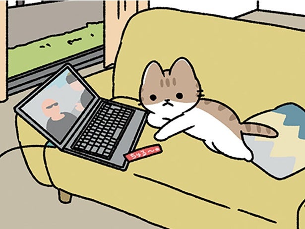 【犬は人につき、ねこは家につく】ねこと犬は違う習性だけれど、いつも一緒にいてくれる！
