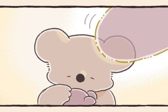 ぬいぐるみをハグするコアラにほっこり。コアラの大事な時間とは【コアラ絵日記4 #3】
