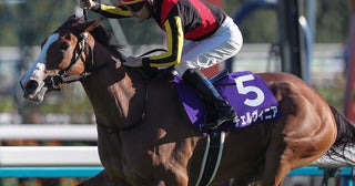 【競馬予想】ＧＩジャパンカップ、チェルヴィニアは古馬一線級相手に太刀打ちできるか