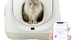 スマホで愛猫の健康管理までできる！排泄データを記録して日々の変化をチェックできる、次世代型の【オーエフティー】猫トイレがAmazonで販売中！“掃除するトイレ”から“見守るトイレ”へ進化！