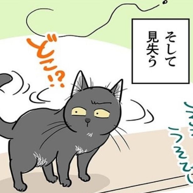 【ねこ漫画】飛ぶ虫相手に猫はどうする？「うそでしょ!?」3匹の猫たちのそれぞれの反応に「かわいすぎる」の声【作者インタビュー】