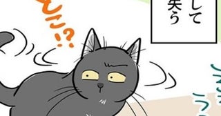 【ねこ漫画】飛ぶ虫相手に猫はどうする？「うそでしょ!?」3匹の猫たちのそれぞれの反応に「かわいすぎる」の声【作者インタビュー】