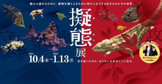 ものまね芸人ほいけんたも登場する「擬態展」が「仙台うみの杜水族館」で開催中！生き抜くために擬態する、不思議な生きものたちを見に行こう - Ameba  News [アメーバニュース]