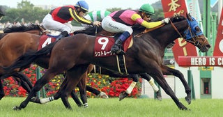 【競馬予想】ジャパンカップはキレ味勝負 超ド級の穴馬が高額配当を演出か