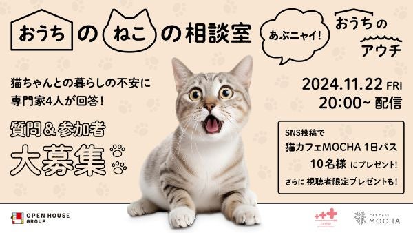 飼い主と猫の幸せな住まいと暮らしを応援「おうちのねこの相談室～あぶニャイ！おうちのアウチ～」YouTube配信