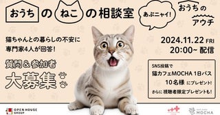 飼い主と猫の幸せな住まいと暮らしを応援「おうちのねこの相談室～あぶニャイ！おうちのアウチ～」YouTube配信