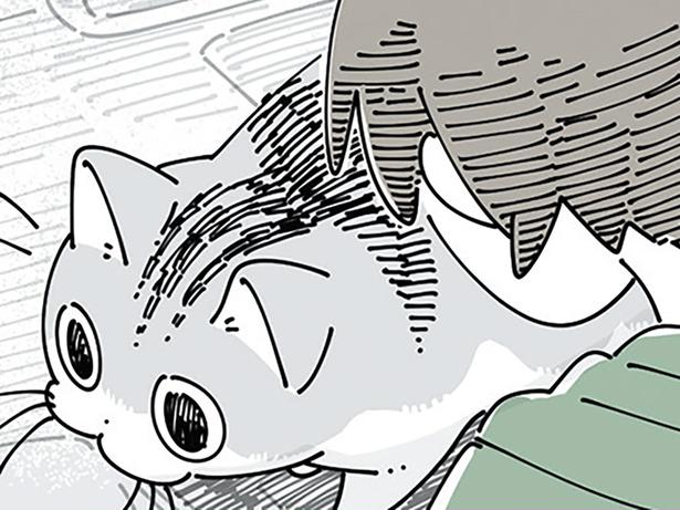 どちらが優勢？ 作業中に「ぬっ」と現れるネコ VS お邪魔行為をガードする飼い主