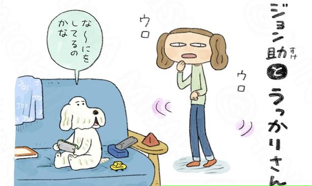 部屋をウロウロして“今、何しに来たんだっけ？”…パートナーにツッコむ白い犬との“何気ない会話”に「ほっこりした」【漫画】