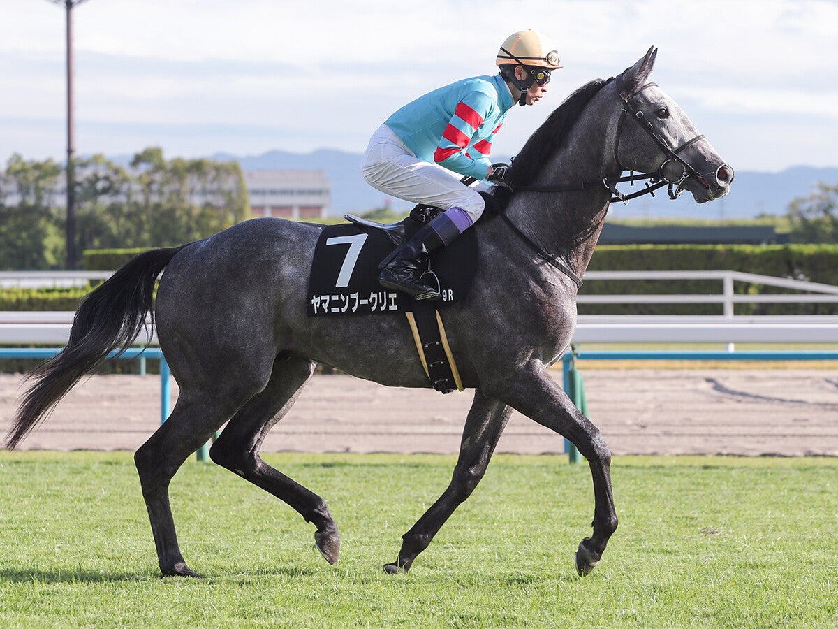 【競馬予想】「とにかく荒れる」七夕賞先行勢に有力馬がそろうなか、機動力秘めた４歳馬の一発に要注意