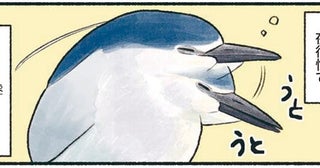 ペンギンみたいなずんぐり姿で、めったに動かないゴイサギ