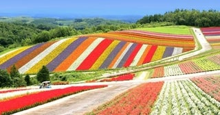 「これで無料は反則でしょ」北海道・美瑛の絶景を一望できる“神スポット”が想像以上！満足度がバグってる!?【無料展望室シリーズvol.15】