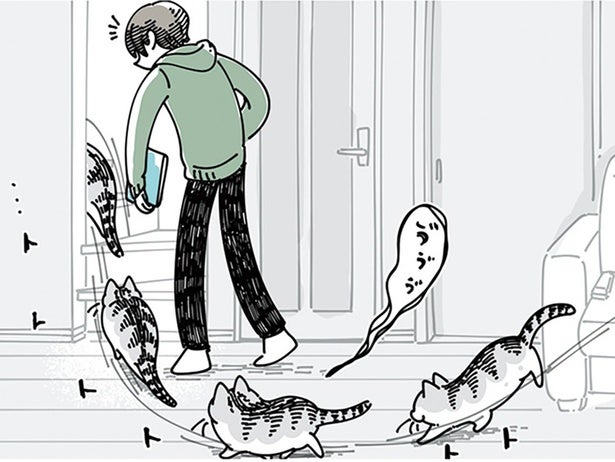 2階に移動する飼い主についてきてくれる。そんなネコの追従が申し訳なくなる瞬間