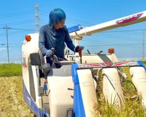 新米が5キロ2000円台に？「令和の米騒動」が終わる一方で、農家は悲鳴…“安すぎる米”の先に待つ「次の米不足」