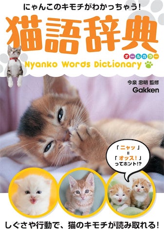 第二言語は “猫語” に決まり☆便利に活躍『猫語辞典』