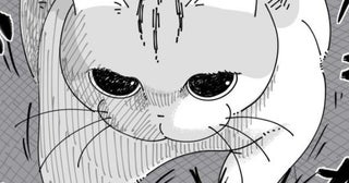 【ネコ漫画】飼い主の椅子でツメ研ぎする愛猫!?その姿に「まさに爪研ぎ職人」などの共感コメント多数