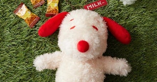 赤×白のスヌーピーが新鮮！MILKFED.から子犬みたいな“ふわふわポーチ”が登場