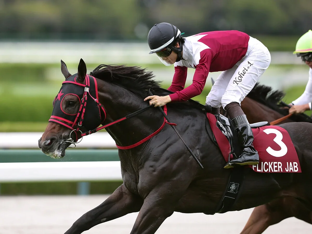 【競馬予想】スプリンターズＳ、"上がり馬"フリッカージャブの勢いはホンモノか前哨戦は「確かに強かったが...」