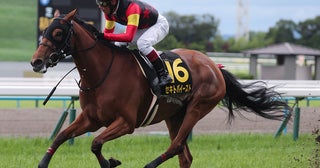 【競馬予想】エリザベス女王杯はレガレイラが中心も、同じ４歳馬の伏兵２頭から漂う大駆けムード