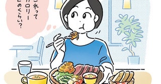 【体脂肪を落とす食事】 食事の減らしすぎはNG！ 1食500kcal前後でカロリー管理を