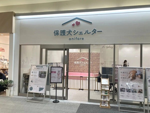 【大阪府】イオンモール大日に、地域と動物福祉をつなぐ「保護犬シェルターanifare」開設！