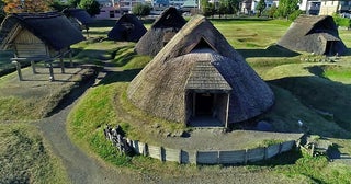 登呂遺跡で稲刈りや石器づくり弥生時代の体験イベントが10月6日にスタート