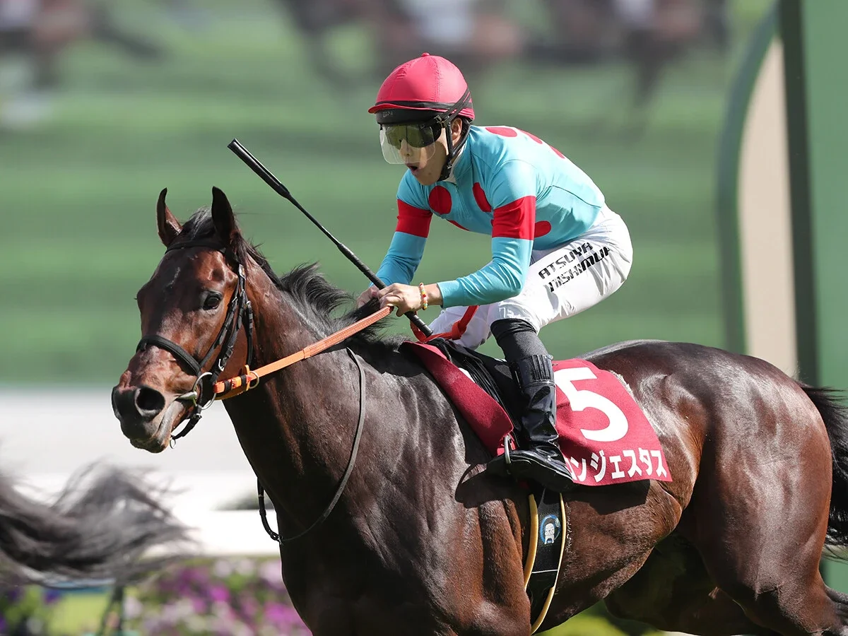【競馬予想】日本ダービーを勝つには「運」が重要それを体感したジョッキーが指名する本命馬と伏兵候補