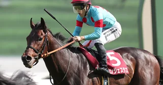 【競馬予想】日本ダービーを勝つには「運」が重要それを体感したジョッキーが指名する本命馬と伏兵候補