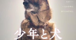 約束を果たすため旅をする1匹の犬が起こした奇跡の物語高橋文哉＆西野七瀬主演「少年と犬」特報公開