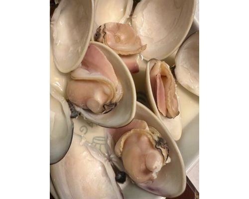  研ナオコ、観光大使務める鹿嶋市から届いた“大好物”公開 