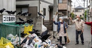 「自治会には入りたくなかった」住民が考えを改めたワケ。アパート前が“カラスの餌場”になった危機を救った老人たちの行動
