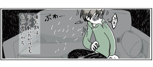 毛の抜け方がすさまじい！ 少し動くだけでも舞う猫の毛に飼い主も咳き込みます