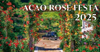 熱海がバラに染まる春、600種・4000株が咲き誇る「ACAO ROSE FESTA 2025(アカオ ローズフェスタ2025)」が開催中！