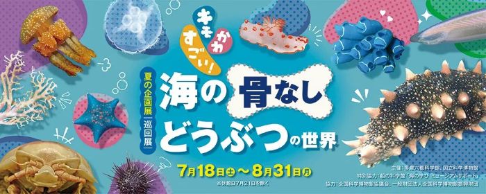 “キモかわすごい” 海の骨なし動物の魅力を知ろう東京・多摩六都科学館で夏の企画展