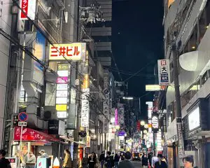 「ミナミは歌舞伎町よりワルい状態」万博特需で潤う夜の街で増大する“トクリュウ”の存在感