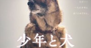 高橋文哉＆西野七瀬『少年と犬』、奇跡の旅を続ける1匹の犬・多聞を描く特報解禁公開日は来年3.20