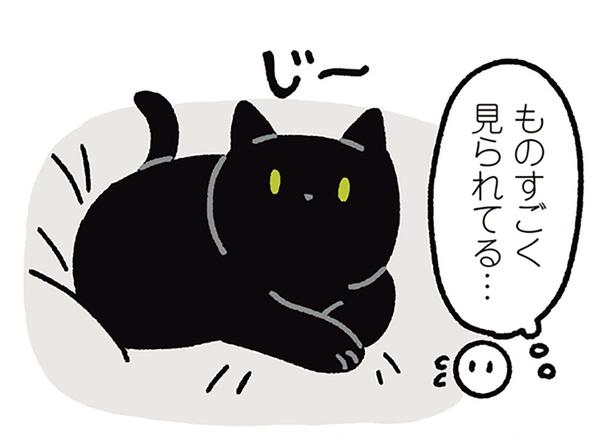 ゆっくりまばたきでお返事。黒猫ろんの愛情表現