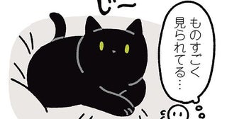 ゆっくりまばたきでお返事。黒猫ろんの愛情表現