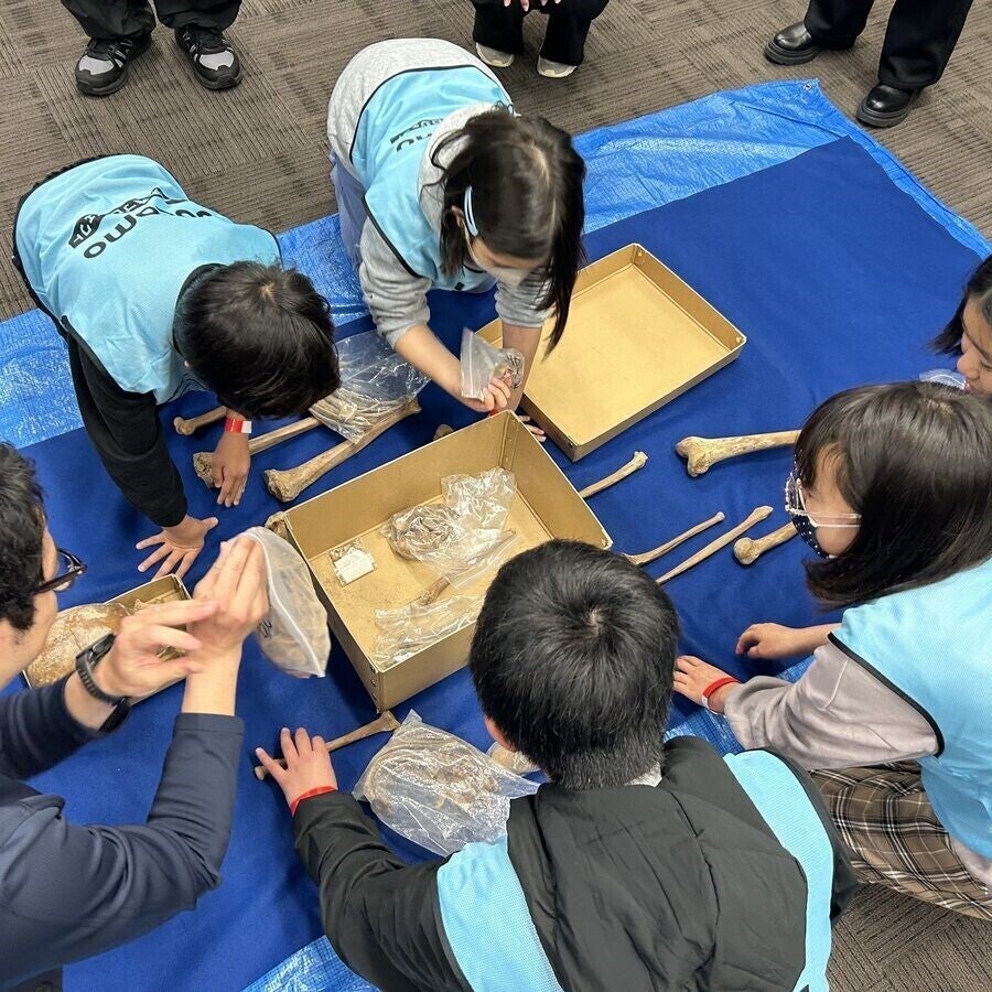 「これは鎖骨を刀で斬られた江戸時代の侍の骨」子どもたちが人骨から推理！ 「ドコモ未来フィールド」のアカデミック体験レポ