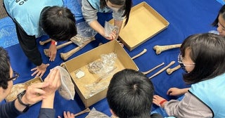 「これは鎖骨を刀で斬られた江戸時代の侍の骨」子どもたちが人骨から推理！ 「ドコモ未来フィールド」のアカデミック体験レポ