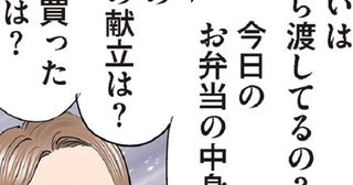 義母から毎日しつこく夕飯や弁当の内容を聞かれていた嫁が編み出した、時短でおいしいメニューとは？【作者インタビュー】