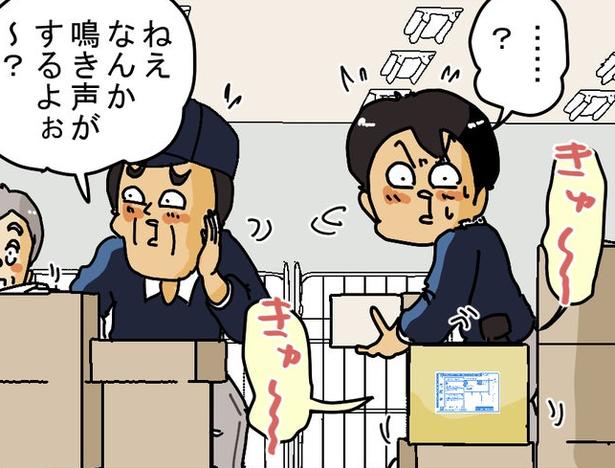 【規約違反に注意】品名「桃」の宅配荷物から「キューキュー」の鳴き声…配達員が遭遇した生き物偽装の実態