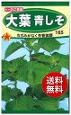 ＜大葉レシピ＞薬味だけじゃない！主菜、副菜、おつまみ…大葉好きがよく作るおいしい食べ方