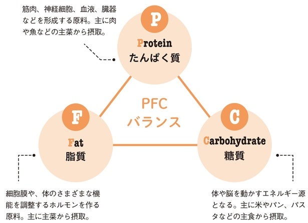 【体脂肪を落とす食事】 三大栄養素のバランスを整えた食事の大きなメリットとは