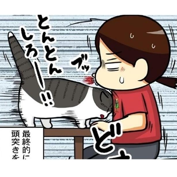 【ねこ漫画】「腰とんとんが足りぬ」クールな猫が甘えん坊に豹変!!サボる下僕への叩き方の指導が厳しすぎる【作者に聞く】