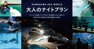 閉館後の水族館を満喫する鴨川シーワールドの「大人のナイトプラン」